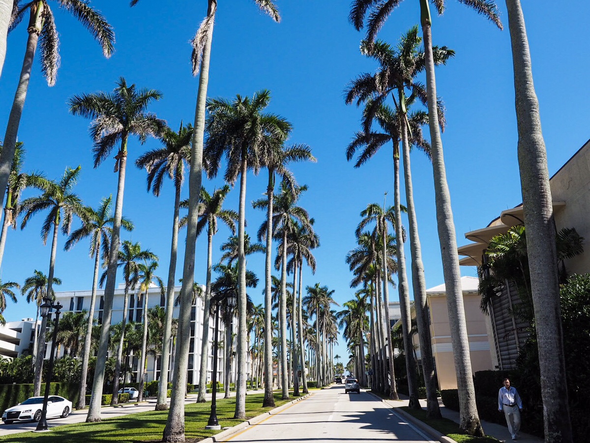 Dzień 5 – Palm Beach,&nbsp;Fl