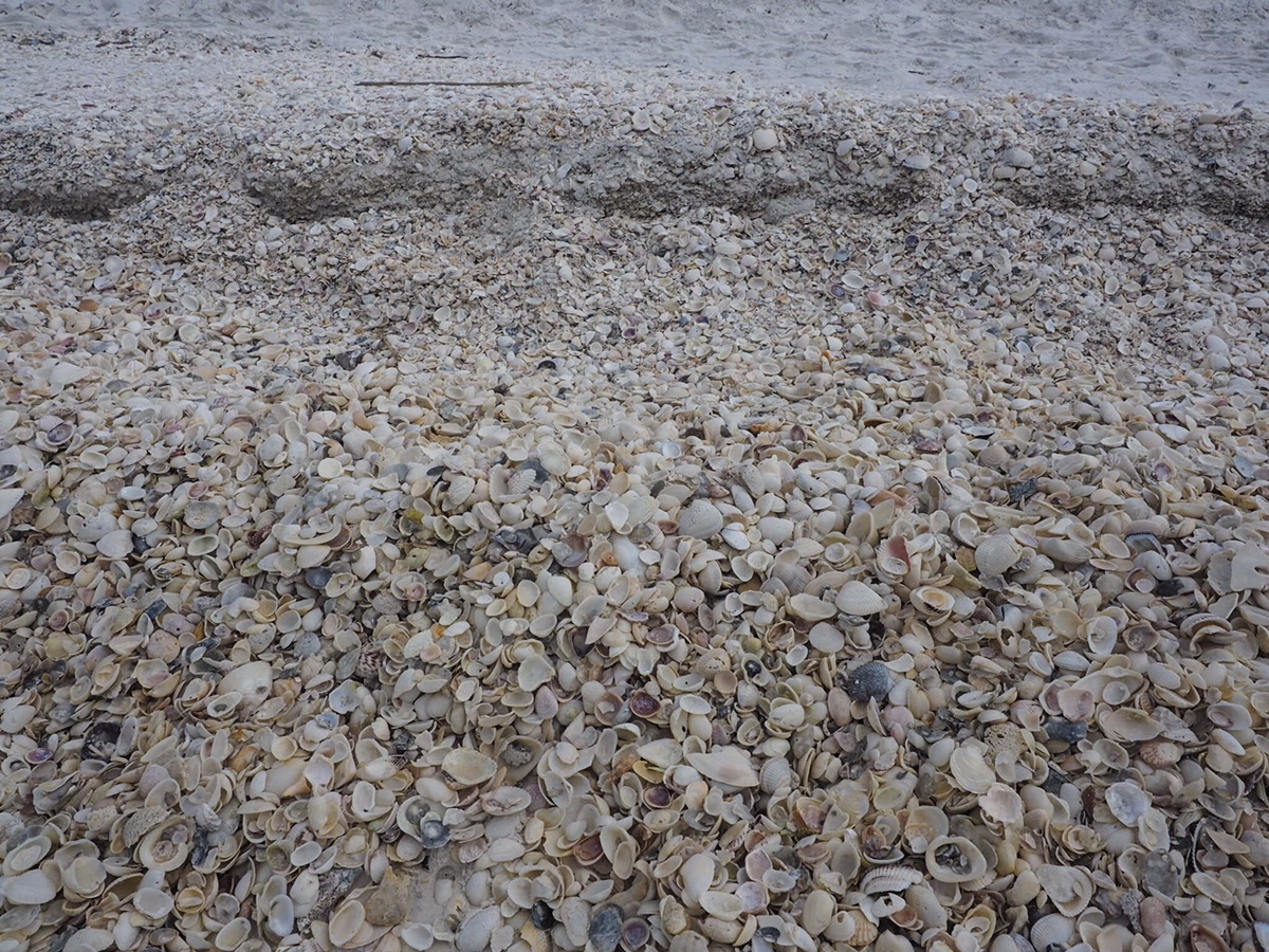 Dzień 11 – Marco Island -> Naples -> Boynton&nbsp;Beach