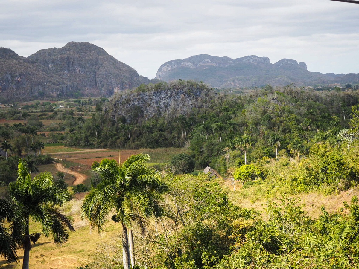 Dzień 24: Hawana (Marina Hemingway’a) -> Pinar de Rio -> Vinales -> Hawana&nbsp;(Marina)