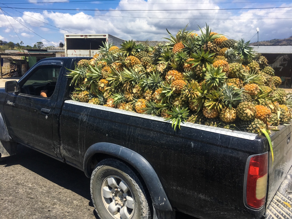 Dzień 36: Chalatenango, SLV -> Copán Ruinas,&nbsp;HND
