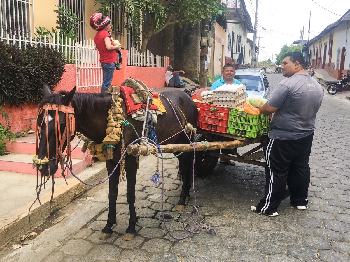 Dzień 43: León, NIC -> Parque Nacional Volcán Masaya, NIC -> Granada,&nbsp;NIC